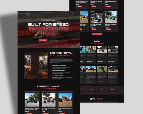 Standard Trikes, eCommerce website by sadikmamun